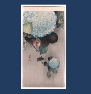 Ohara Koson: Sparrow on Hydrangea, c.1910